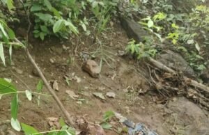 करतला वन परिक्षेत्र में हाथी का तांडव: जंगल में वृद्ध को कुचलकर मार डाला, गांव में दहशत का माहौल