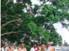 राष्ट्रीय एकता दिवस पर सामरी थाना में वृक्षारोपण, साइबर व यातायात सुरक्षा का दिया संदेश