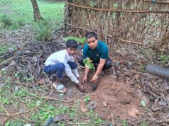 इको क्लब शासकीय हाई स्कूल हात्मा ने मनाया अनोखा जन्मदिन: पौधारोपण कर दिया पर्यावरण संरक्षण का संदेश