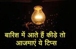 बारिश में घर में उमड़ते कीड़ों से छुटकारा पाने के आसान घरेलू उपाय, नीम-कपूर से लेकर सिरके तक असरदार नुस्खे