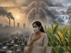 CSE की चौंकाने वाली रिपोर्ट: भारत के शहरों में खतरनाक स्तर पर फैला ग्राउंड लेवल ओज़ोन प्रदूषण, दिल्ली-एनसीआर सबसे ज्यादा प्रभावित