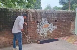 दिवाल के किनारे छिप कर बैठा 5 फीट का नाग, बाहर निकलते ही लोगों के उड़े होश, जितेंद्र सारथी ने किया रेस्क्यु