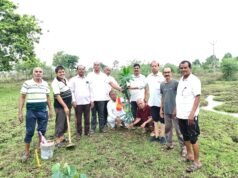 भामाशाह साहू सद्भाव समिति ने किया वृक्षारोपण