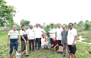 भामाशाह साहू सद्भाव समिति ने किया वृक्षारोपण