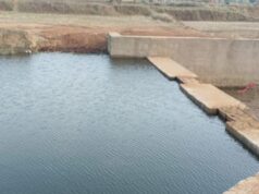 अंधेरगढ़ नाला का पक्का चेक डेम बना किसानों की उम्मीद, 12.5 एकड़ खेतों को मिलेगा सिंचाई का संबल