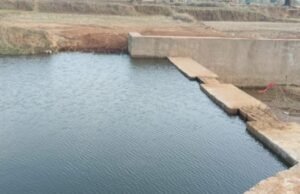 अंधेरगढ़ नाला का पक्का चेक डेम बना किसानों की उम्मीद, 12.5 एकड़ खेतों को मिलेगा सिंचाई का संबल