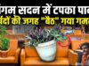 नगर निगम मुख्यालय की छत से टपका पानी, पार्षदों की जगह सोफे पर बैठे गमले; जलभराव पर चर्चा के लिए बुलाई गई सामान्य सभा खुद हुई जलमग्न