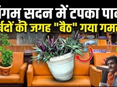नगर निगम मुख्यालय की छत से टपका पानी, पार्षदों की जगह सोफे पर बैठे गमले; जलभराव पर चर्चा के लिए बुलाई गई सामान्य सभा खुद हुई जलमग्न
