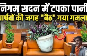 नगर निगम मुख्यालय की छत से टपका पानी, पार्षदों की जगह सोफे पर बैठे गमले; जलभराव पर चर्चा के लिए बुलाई गई सामान्य सभा खुद हुई जलमग्न
