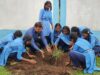 हाई स्कूल सालेभाट में पर्यावरण संरक्षण की अनूठी पहल: एक लाख चालिस हजार सीड बाल रोपण के लिए उमडा जन शैलाब.
