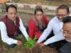 NHRSJC ने वर्ल्ड डे फॉर इंटरनेशनल जस्टिस पर किया वृक्षारोपण. वैश्विक अपराध और अपराधियों पर लगाम लगाने जागरूकता जरुरी…अधिवक्ता चितरंजय
