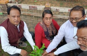 NHRSJC ने वर्ल्ड डे फॉर इंटरनेशनल जस्टिस पर किया वृक्षारोपण. वैश्विक अपराध और अपराधियों पर लगाम लगाने जागरूकता जरुरी…अधिवक्ता चितरंजय