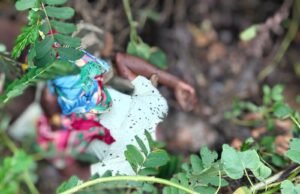 ब्रेकिंग न्यूज़ – बीजापुर जिला अस्पताल के सामने अज्ञात व्यक्ति का शव मिलने से क्षेत्र में सनसनी