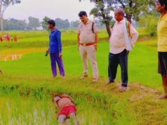 बतौली में करेंट से बड़ा हादसा अवैध हुकिंग में किसान ने खुद की जान गंवाई कटे तार में चपक कर खेत में हुई मौत