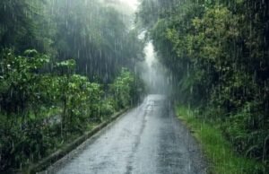 धमतरी जिले में अब तक 427.4 मिमी औसत वर्षा दर्ज, मगरलोड में सामान्य के मुकाबले सर्वाधिक बारिश
