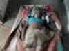 बतौली में आकाशीय बिजली का कहर परिवार खोजता रह गया और गाज गिरने से हो चुकी थी महिला की मौत