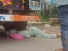 अंम्बिकापुर गड्ढे ने ली जान: गांधी चौक के पास ट्रक से कुचलकर महिला की दर्दनाक मौत