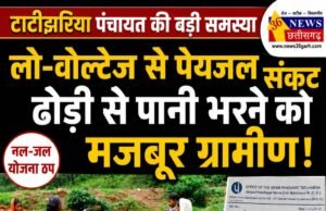 लो-वोल्टेज से बेहाल टाटीझरिया: पीने के पानी के लिए ढोढ़ी का सहारा, सरपंच ने बिजली विभाग से लगाई गुहार