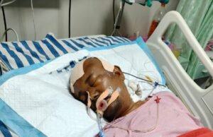 नगर के पूर्व पार्षद के स्वास्थ्य लाभ के लिए आर्थिक सहायता हेतु न्यूज़ 36 गढ़ के माध्यम से आम जन मानस को अपील