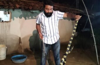 बीहड़ जंगल क्षेत्र के ग्रामीणों में बढ़ी सर्प संरक्षण के प्रति जागरूकता, 6 फीट लंबे अहिराज का सुरक्षित रेस्क्यू।
