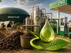 CNG में अब मिलेगी बायोगैस की ताकत! केंद्र ने 23,731 करोड़ की गोबरधन योजना को दी मंजूरी, 10 गुना बढ़ेगा CBG उत्पादन
