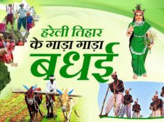 छत्तीसगढ़ की हरियाली, परंपरा और संस्कृति का उत्सव है हरेली, गेड़ी की मस्ती से गूंजते हैं गांव