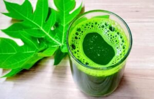 पपीते के पत्तों का जूस: डेंगू से लेकर पाचन तक, जानिए इसके फायदे और सेवन का सही तरीका