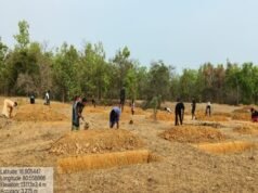 मनरेगा से संवरा निम्मलगुड़ा: 500 जल अवशोषण ट्रेंच ने बढ़ाया भू-जल स्तर, 1,801 मानव-दिवस का हुआ रोजगार सृजन