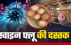 बिलासपुर में स्वाइन फ्लू की दस्तक: H1N1 के 7 मरीज मिले, स्वास्थ्य विभाग अलर्ट
