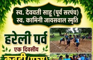 हरेली पर्व खेलगांव नवागांव मे एकदिवसीय कबड्डी प्रतियोगिता
