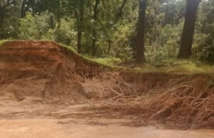 आमाकुंडी बांध टूटने से दर्जनों किसानों की फसल बर्बाद , फसल नुकसान से किसान परेशान , प्रशासन से नुकसान की भरपाई की मांग