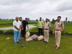 सबरिया डेरा में अवैध कच्ची शराब के अड्डे पर पुलिस का बड़ा प्रहार, 18 बोरी महुआ लहान नष्ट