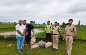 सबरिया डेरा में अवैध कच्ची शराब के अड्डे पर पुलिस का बड़ा प्रहार, 18 बोरी महुआ लहान नष्ट