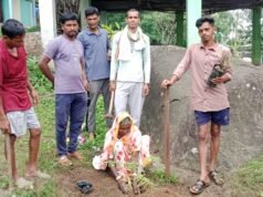 कोपरा गांव में बाल मंडली ने रोपे 100 पौधे, 60 वर्षीय बिसरी बाई ने दिया पर्यावरण संरक्षण का संदेश