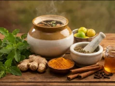 स्वाइन फ्लू से बचाव में आयुर्वेदिक उपाय कितने कारगर? गिलोय, तुलसी, हल्दी और अदरक से लेकर डाइट तक जानें जरूरी बातें