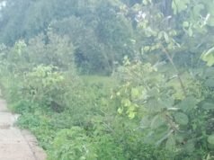 आरंग में सनसनी: महानदी तट पर कुम्हारी के शिक्षक की नृशंस हत्या, सिर कुचलकर उतारा मौत के घाट