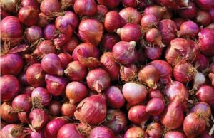 प्याज के बाद सब्जियों के बढ़े दाम, कुसमुंडा में बिगड़ा घर का बजट