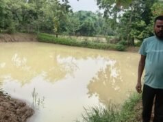 आजीविका डबरी बनी मनमोहन की खुशहाली का आधार, सिंचाई के साथ मछली पालन और सब्जी उत्पादन की राह हुई आसान