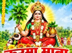 परंपरा और आस्था का संगम: एकादशी पर मां कर्मा की विधि-विधान से पूजा, सहपरिवार घर में की गई स्थापना
