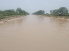 मुख्य नहर लबालब फिर भी टेल एरिया तक पानी कम,किसान चिंतित टेल एरिया तक पानी पहुचाने की मांग