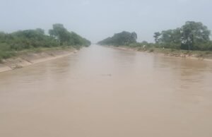 मुख्य नहर लबालब फिर भी टेल एरिया तक पानी कम,किसान चिंतित टेल एरिया तक पानी पहुचाने की मांग