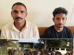 मरौद टोल प्लाजा के पास कुरुद पुलिस की मुस्तैदी से गौ-तस्करी का भंडाफोड़,10 गायों को सुरक्षित मुक्त कराया, 6 चक्का ट्रक सहित 20 लाख रूपये का मशरूका जब्त