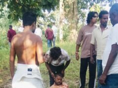 हाथी के हमले से युवक की मौत, अस्पताल पहुंचने से पहले तोड़ा दम